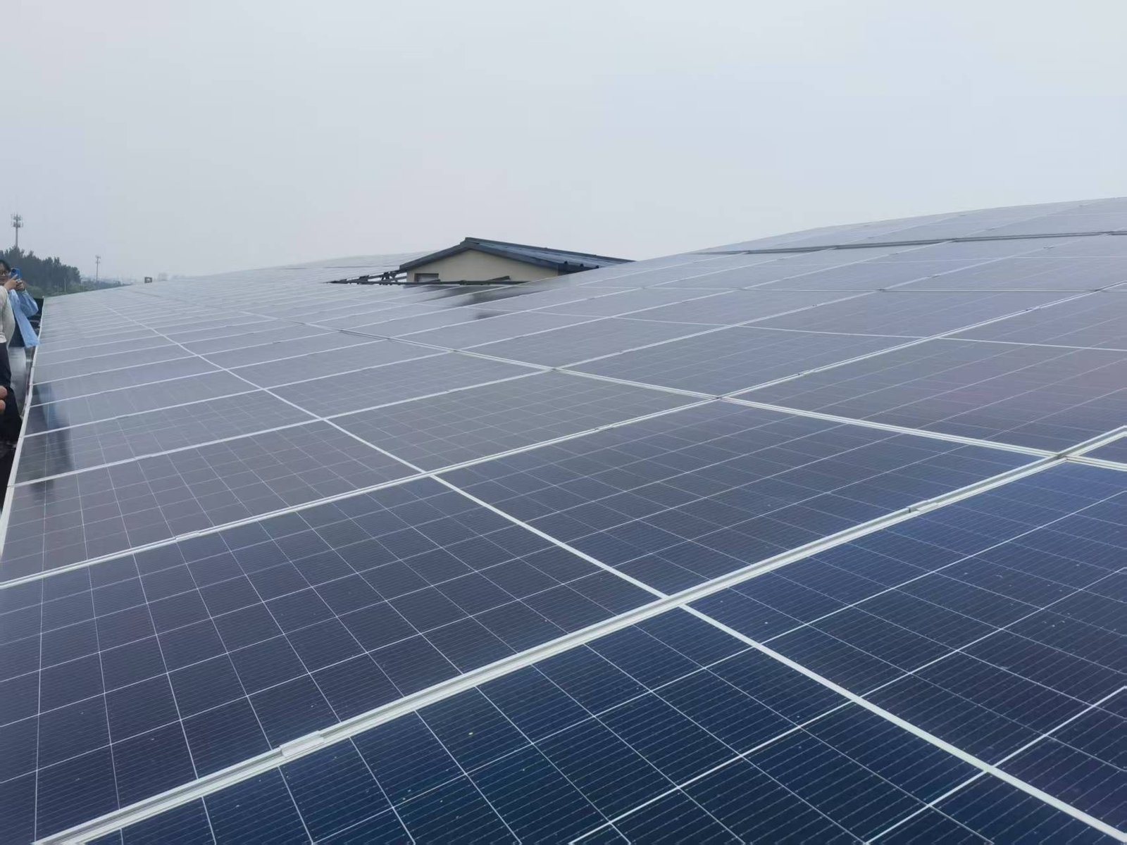 Professional using thermal camera for solar inspection